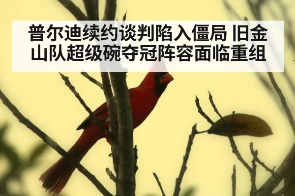 普尔迪续约谈判陷入僵局 旧金山队超级碗夺冠阵容面临重组