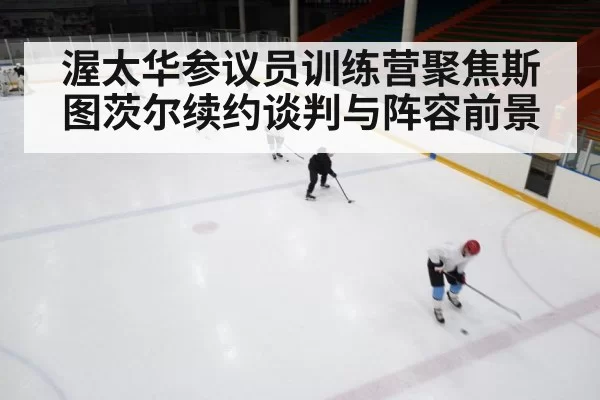 渥太华参议员训练营聚焦斯图茨尔续约谈判与阵容前景